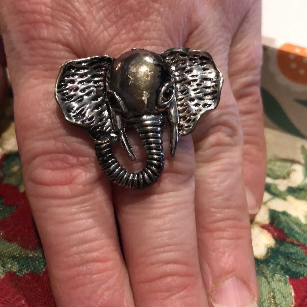Elephant Ring - Picture 4 of 8